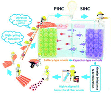 Graphical abstract: Fast and durable anodes for sodium-/potassium-ion hybrid capacitors: tailoring self-adaptive nanocages inside hybrid fibers with high alignment