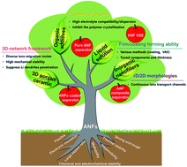 Graphical abstract: Advanced separators based on aramid nanofiber (ANF) membranes for lithium-ion batteries: a review of recent progress