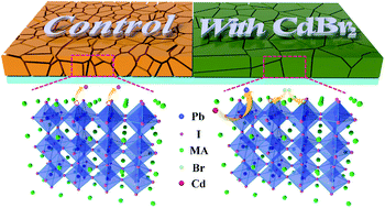 Graphical abstract: A facile and broadly applicable CdBr2-passivating strategy for halide migration-inhibiting perovskite films and high-performance solar cells