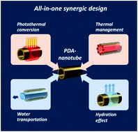 Graphical abstract: A solar evaporator based on hollow polydopamine nanotubes with all-in-one synergic design for highly-efficient water purification