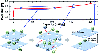 Graphical abstract: Unraveling the critical role of Zn-phyllomanganates in zinc ion batteries