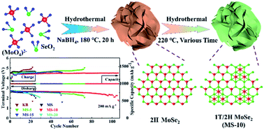 Graphical abstract: Phase modulation of 1T/2H MoSe2 nanoflowers for highly efficient bifunctional electrocatalysis in rechargeable Li–O2 batteries