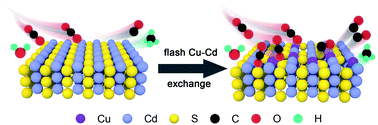Graphical abstract: Construction of atomically dispersed Cu sites and S vacancies on CdS for enhanced photocatalytic CO2 reduction