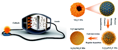 Graphical abstract: Metal–organic framework derived NiS2 hollow spheres as multifunctional reactors for synergistic regulation of polysulfide confinement and redox conversion