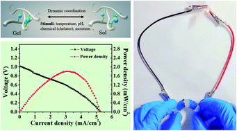 Graphical abstract: Dynamic coordination of metal–alanine to control the multi-stimuli responsiveness of self-powered polymer hydrogels