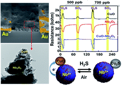 Graphical abstract: A thermodynamic approach toward selective and reversible sub-ppm H2S sensing using ultra-small CuO nanorods impregnated with Nb2O5 nanoparticles