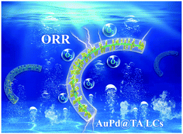 Graphical abstract: Tannic acid decorated AuPd lavender-like nanochains for enhanced oxygen reduction electrocatalysis