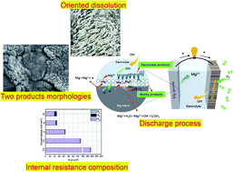 Graphical abstract: Understanding the discharge behavior of an ultra-high-purity Mg anode for Mg–air primary batteries