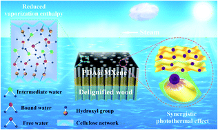 Graphical abstract: An integrated highly hydrated cellulose network with a synergistic photothermal effect for efficient solar-driven water evaporation and salt resistance