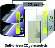 Graphical abstract: Coralloid Au enables high-performance Zn–CO2 battery and self-driven CO production