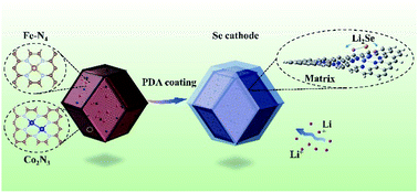 Graphical abstract: A MOF-derived carbon host associated with Fe and Co single atoms for Li–Se batteries