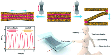 Graphical abstract: Ultra-highly stretchable and anisotropic SEBS/F127 fiber films equipped with an adaptive deformable carbon nanotube layer for dual-mode strain sensing