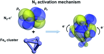 Graphical abstract: Rational design of an Fe cluster catalyst for robust nitrogen activation