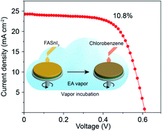 Graphical abstract: Vapor incubation of FASnI3 films for efficient and stable lead-free inverted perovskite solar cells