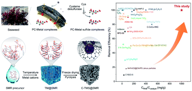 Graphical abstract: Construction of dual-carbon-confined metal sulfide nanocrystals via bio-mimetic reactors enabling superior Fenton-like catalysis