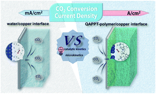 Graphical abstract: Electrochemical CO2 reduction: water/catalyst interface versus polymer/catalyst interface