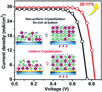 Graphical abstract: Balancing crystallization rate in a mixed Sn–Pb perovskite film for efficient and stable perovskite solar cells of more than 20% efficiency