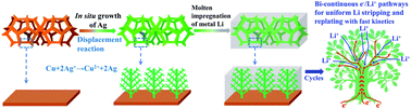 Graphical abstract: Natural forest-inspired Ag lithiophilic porous arrays grown in Cu foam hosts with bi-continuous electronic/ionic pathways for highly stable Li metal anodes