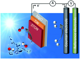 Graphical abstract: Protagonists and spectators during photocatalytic solar water splitting with SrTaOxNy oxynitride