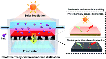 Graphical abstract: MXene aerogel for efficient photothermally driven membrane distillation with dual-mode antimicrobial capability