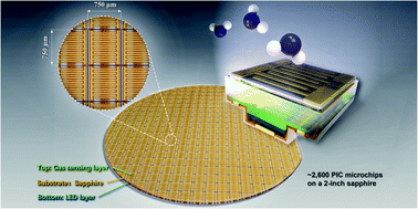 Graphical abstract: Light-excited chemiresistive sensors integrated on LED microchips