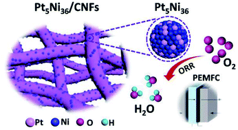 Graphical abstract: Nanoscale Pt5Ni36 design and synthesis for efficient oxygen reduction reaction in proton exchange membrane fuel cells