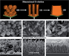 Graphical abstract: Unveiling general rules governing the dimensional evolution of branched TiO2 and impacts on photoelectrochemical behaviors