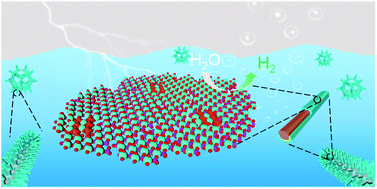 Graphical abstract: Incomplete amorphous phosphorization on the surface of crystalline cobalt molybdate to accelerate hydrogen evolution