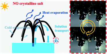 Graphical abstract: Directional solution transfer of a 3D solar evaporator inhibiting salt crystallization