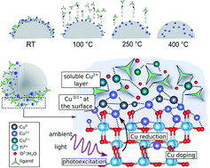 Graphical abstract: Elucidating the formation and active state of Cu co-catalysts for photocatalytic hydrogen evolution