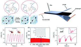 Graphical abstract: A fast self-healing multifunctional polyvinyl alcohol nano-organic composite hydrogel as a building block for highly sensitive strain/pressure sensors