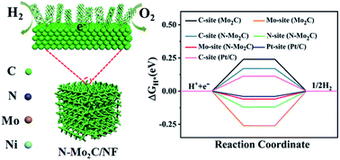 Graphical abstract: Promoting water splitting on arrayed molybdenum carbide nanosheets with electronic modulation