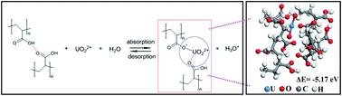 Graphical abstract: A proton-exchange poly(acrylic acid) supramolecular hydrogel for ultrahigh uranium adsorption