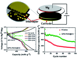 Graphical abstract: Mitigating self-discharge and improving the performance of Mg–S battery in Mg[B(hfip)4]2 electrolyte with a protective interlayer