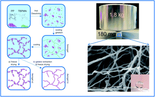 Graphical abstract: Novel finely structured polymer aerogels using organogelators as a structure-directing component