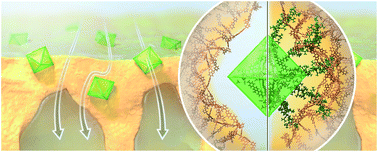 Graphical abstract: Bridging the interfacial gap in mixed-matrix membranes by nature-inspired design: precise molecular sieving with polymer-grafted metal–organic frameworks