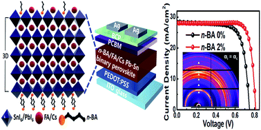 Graphical abstract: A self-assembled hierarchical structure to keep the 3D crystal dimensionality in n-butylammonium cation-capped Pb–Sn perovskites