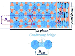 Graphical abstract: Efficient 3D charge transport in planar triazatruxene-based dumbbell-shaped molecules forming a bridged columnar phase