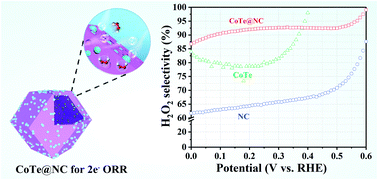 Graphical abstract: CoTe nanoparticle-embedded N-doped hollow carbon polyhedron: an efficient catalyst for H2O2 electrosynthesis in acidic media