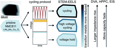 Graphical abstract: The influence of electrochemical cycling protocols on capacity loss in nickel-rich lithium-ion batteries