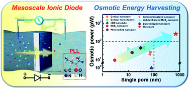 Graphical abstract: Realization of robust mesoscale ionic diodes for ultrahigh osmotic energy generation at mild neutral pH