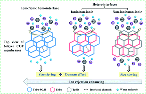 Graphical abstract: Homointerface covalent organic framework membranes for efficient desalination