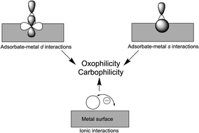 Graphical abstract: Factors controlling oxophilicity and carbophilicity of transition metals and main group metals