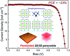 Graphical abstract: A penetrated 2D/3D hybrid heterojunction for high-performance perovskite solar cells