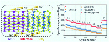 Graphical abstract: A MnS/FeS2 heterostructure with a high degree of lattice matching anchored into carbon skeleton for ultra-stable sodium-ion storage