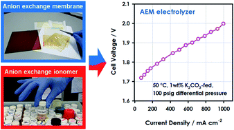 Graphical abstract: Performance and durability of anion exchange membrane water electrolyzers using down-selected polymer electrolytes