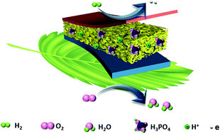 Graphical abstract: Phosphoric acid-doped polybenzimidazole with a leaf-like three-layer porous structure as a high-temperature proton exchange membrane for fuel cells