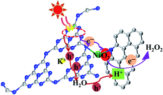 Graphical abstract: K+, Ni and carbon co-modification promoted two-electron O2 reduction for photocatalytic H2O2 production by crystalline carbon nitride