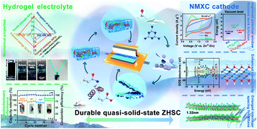Graphical abstract: A durable MXene-based zinc ion hybrid supercapacitor with sulfated polysaccharide reinforced hydrogel/electrolyte