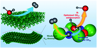 Graphical abstract: Seamless separation of OHad and Had on a Ni–O catalyst toward exceptional alkaline hydrogen evolution